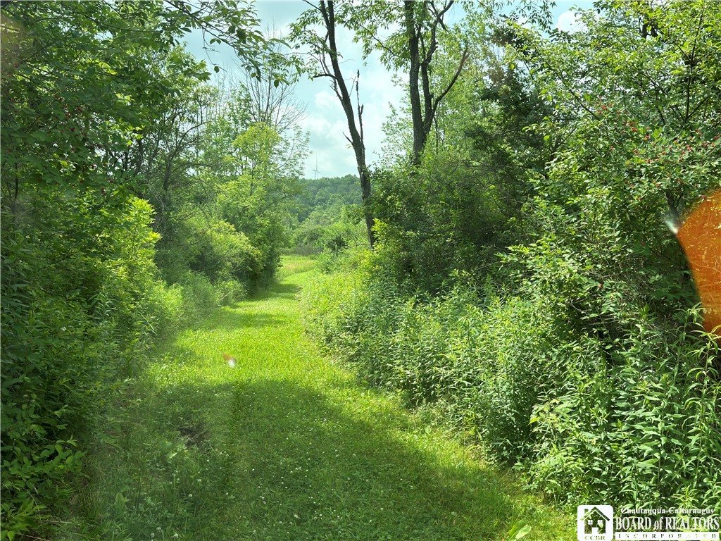 2751 Canfield Road Cohocton, NY 14826 - Photo 42 of 50