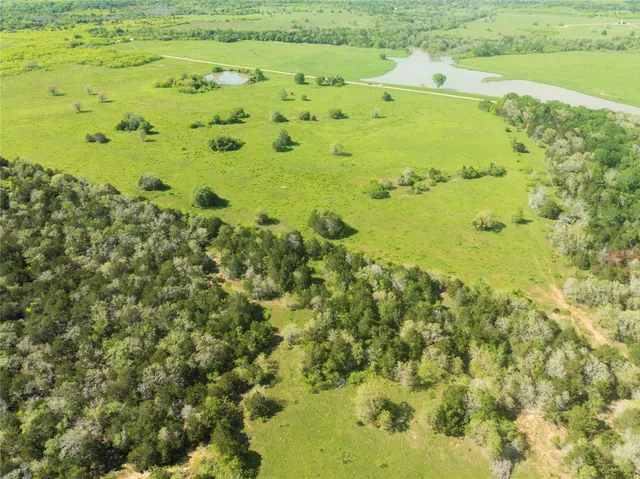 a view of a field with an trees