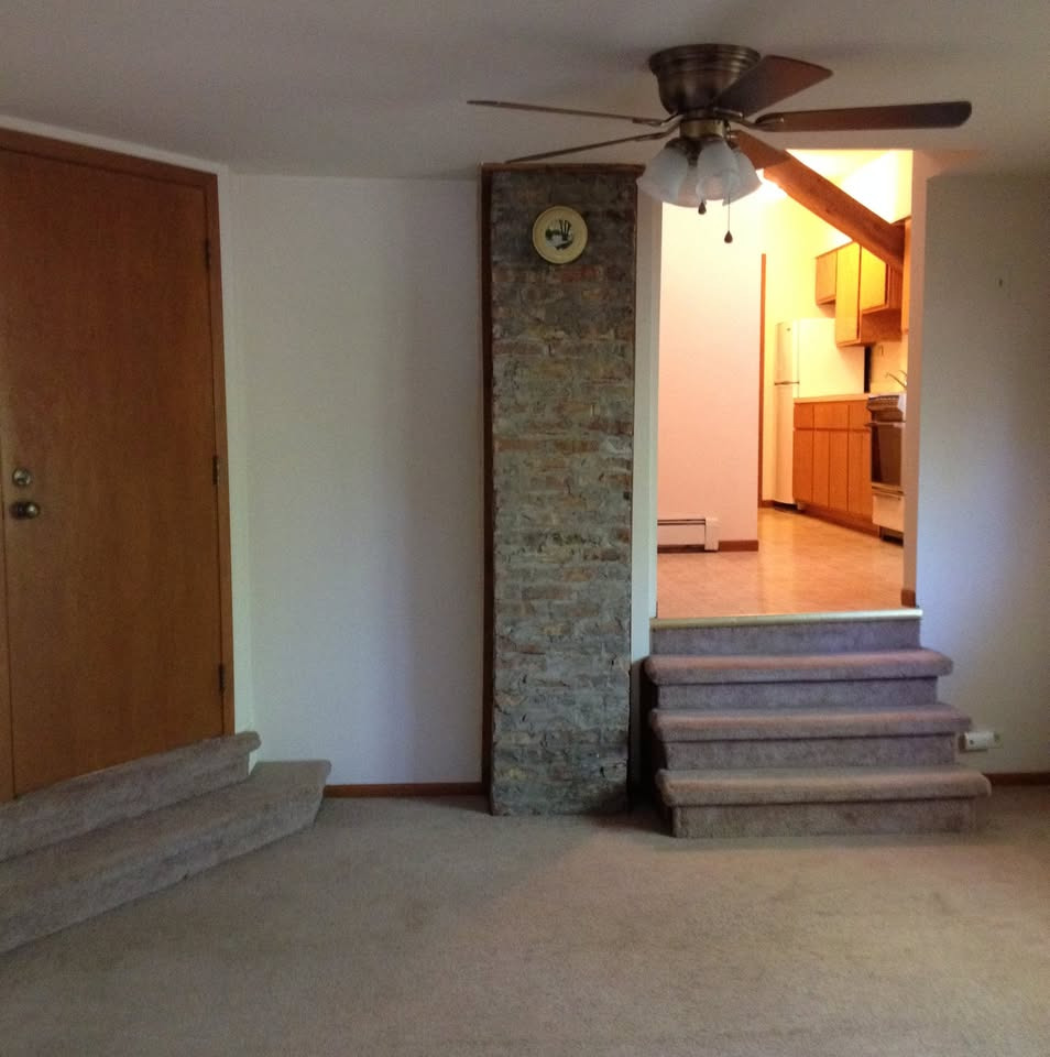 25957 South Oak Road Monee, IL 60449 - Photo 9 of 14