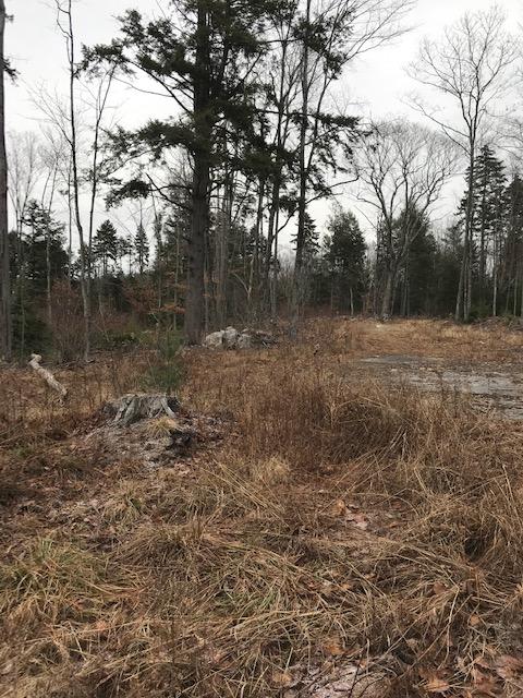 126 Durham Road Freeport, ME 04032 - Photo 1 of 3 IMG_0607