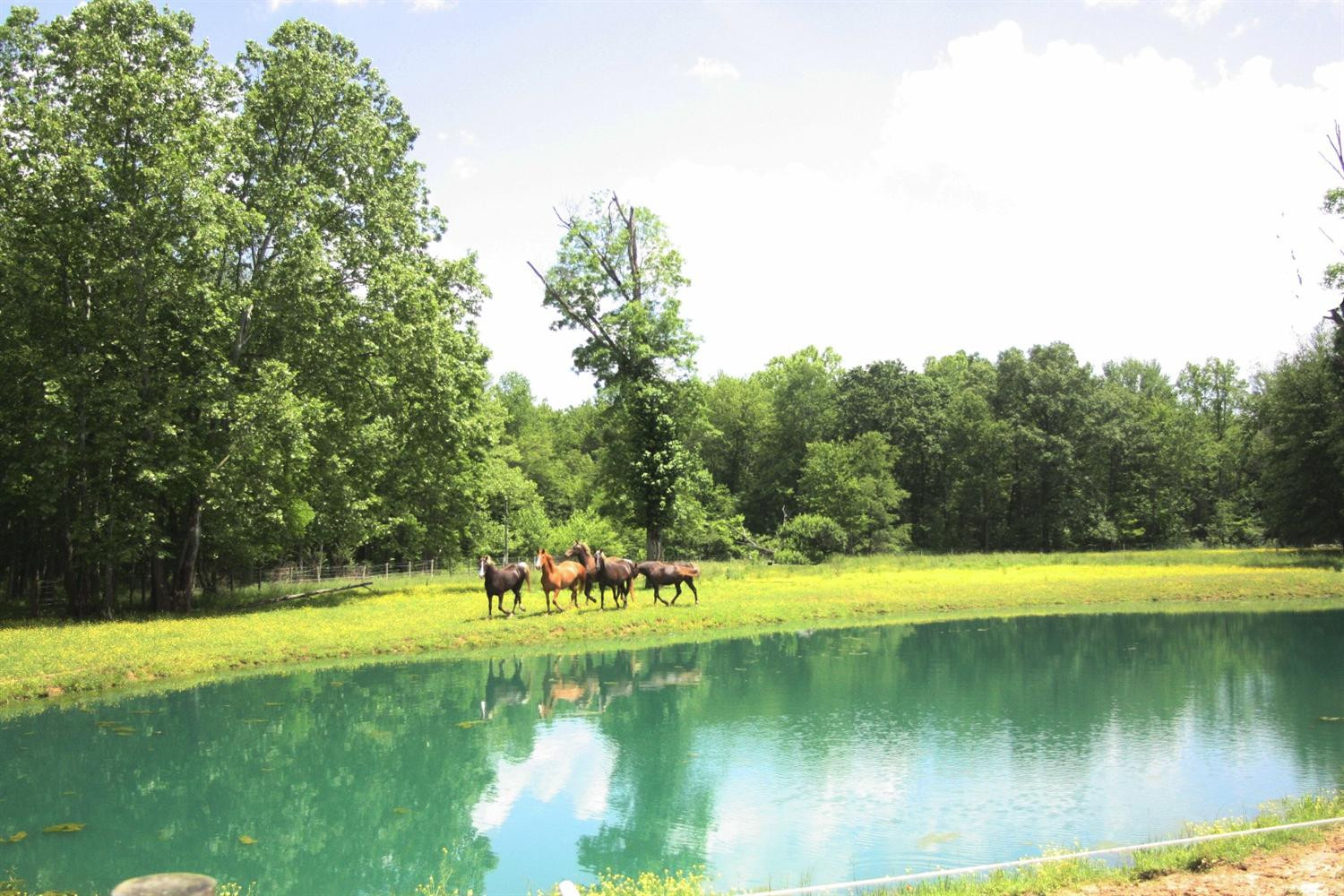 1179 Adams Ridge Road Clay City, KY 40312 - Photo 3 of 96 Photo 3