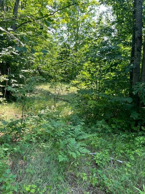 10-ac North Sherman Road Frederic, MI 49733 - Photo 4 of 9