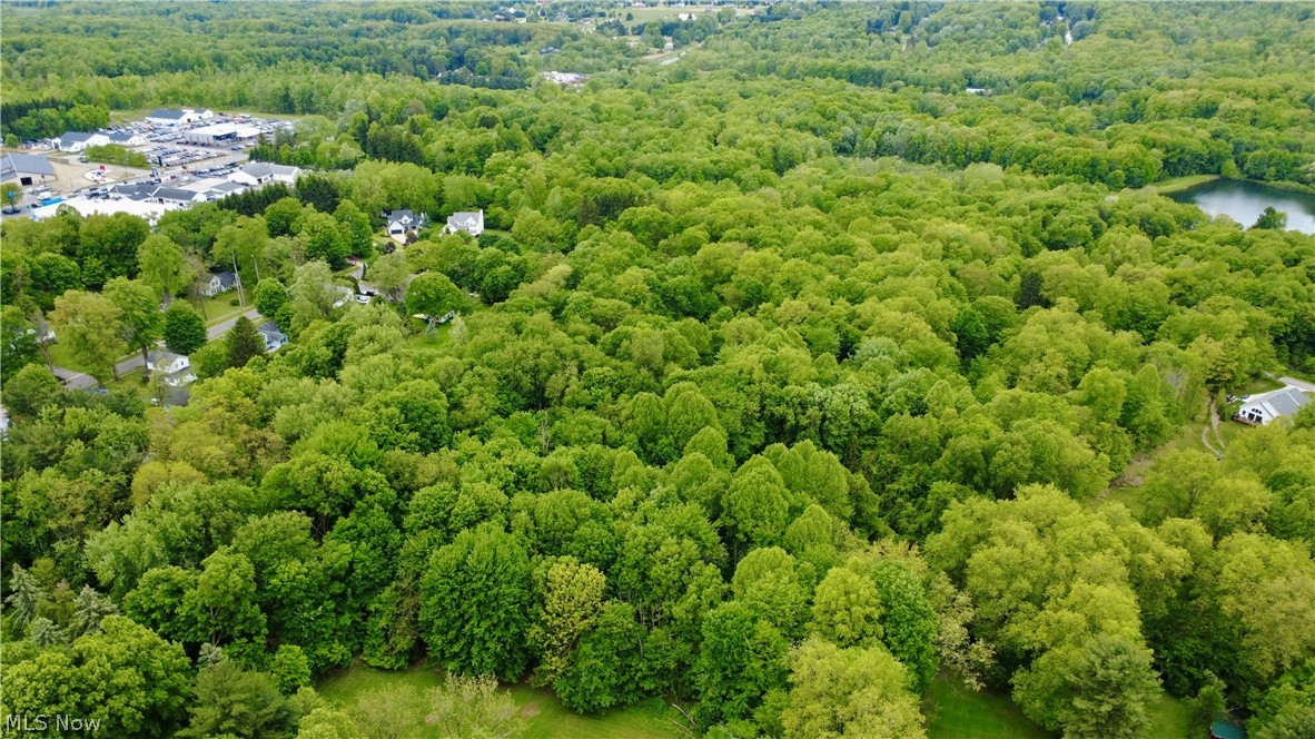 Vl Garden Street Burton, OH 44021 - Photo 5 of 7 Bird's eye view of a forest and a nearby body of water