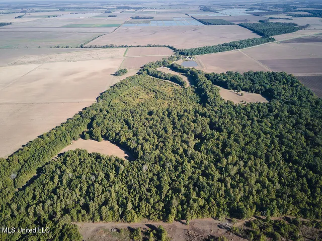 $1,120,000 | Sandy Bayou Road, Rolling Fork, MS 39159