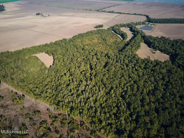 $1,120,000 | Sandy Bayou Road, Rolling Fork, MS 39159