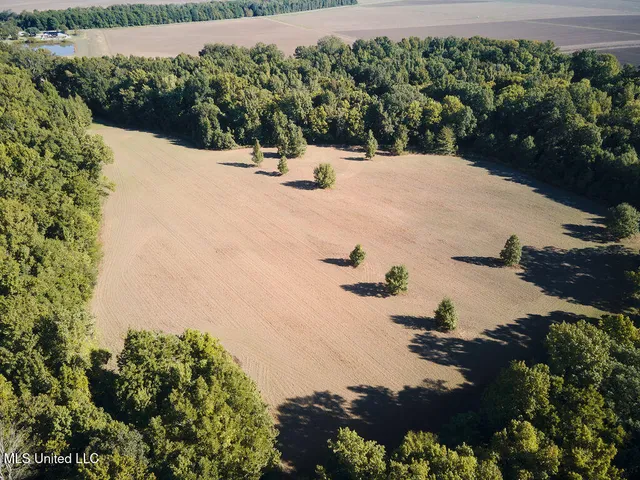 $1,120,000 | Sandy Bayou Road, Rolling Fork, MS 39159