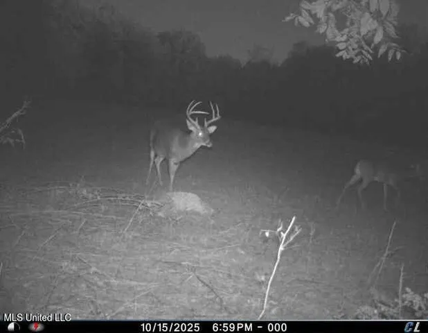 $1,120,000 | Sandy Bayou Road, Rolling Fork, MS 39159