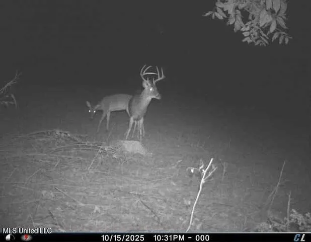 $1,120,000 | Sandy Bayou Road, Rolling Fork, MS 39159