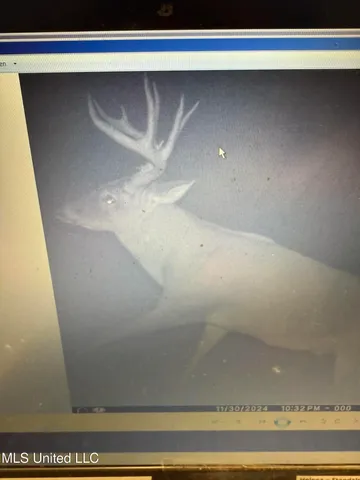 $1,120,000 | Sandy Bayou Road, Rolling Fork, MS 39159