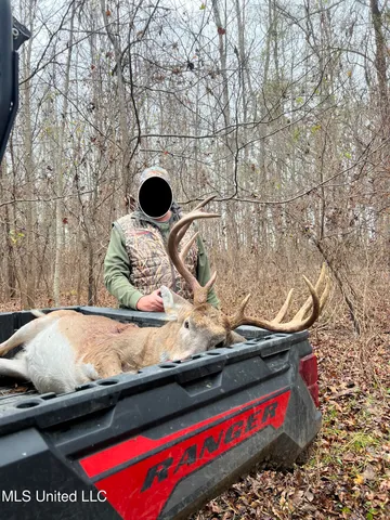 $1,120,000 | Sandy Bayou Road, Rolling Fork, MS 39159