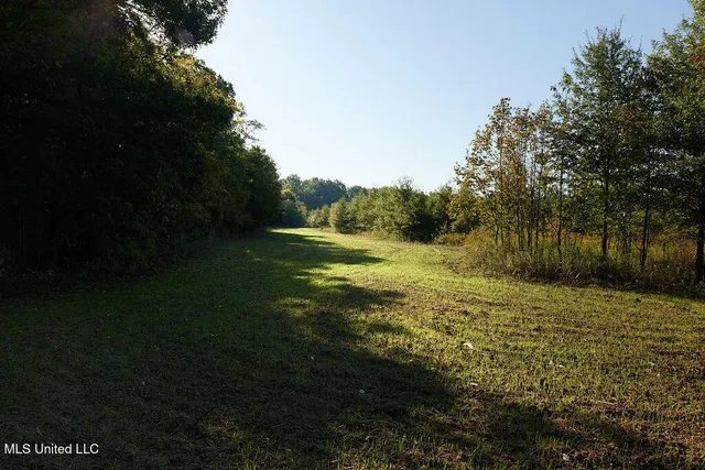 $1,120,000 | Sandy Bayou Road, Rolling Fork, MS 39159