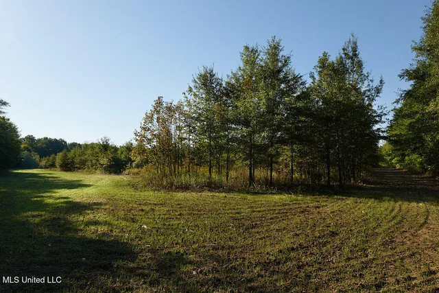 $1,120,000 | Sandy Bayou Road, Rolling Fork, MS 39159