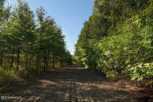 $1,120,000 | Sandy Bayou Road, Rolling Fork, MS 39159