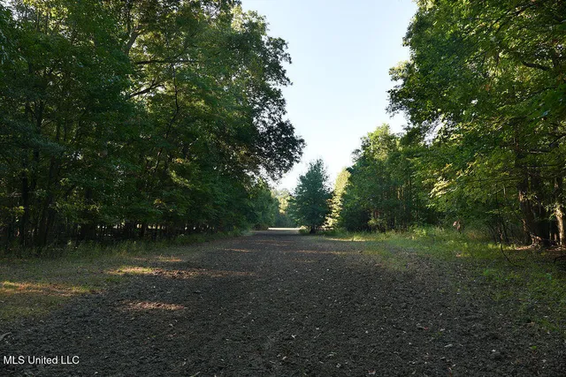 $1,120,000 | Sandy Bayou Road, Rolling Fork, MS 39159