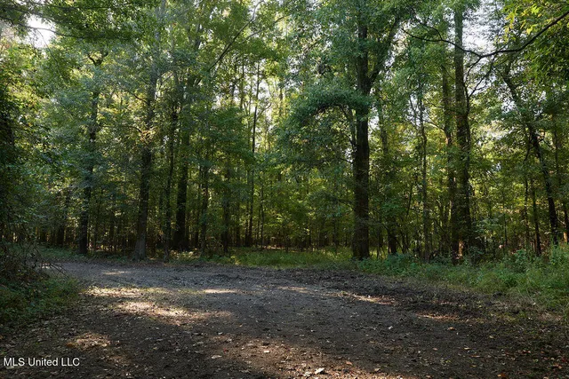 $1,120,000 | Sandy Bayou Road, Rolling Fork, MS 39159