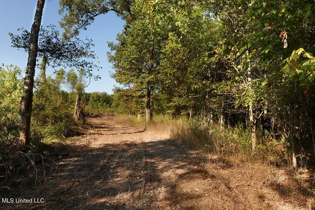 $1,120,000 | Sandy Bayou Road, Rolling Fork, MS 39159