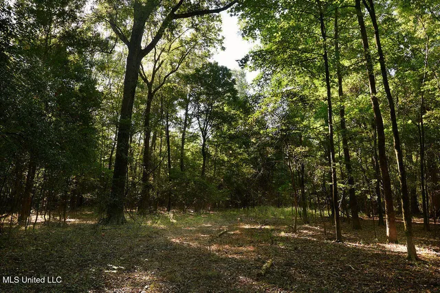 $1,120,000 | Sandy Bayou Road, Rolling Fork, MS 39159