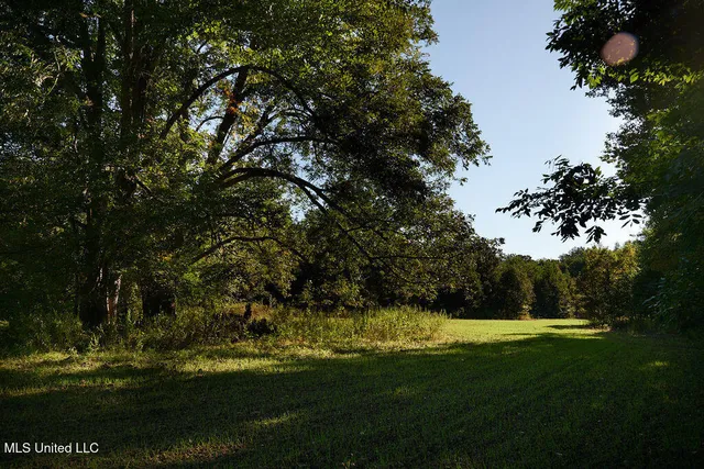 $1,120,000 | Sandy Bayou Road, Rolling Fork, MS 39159