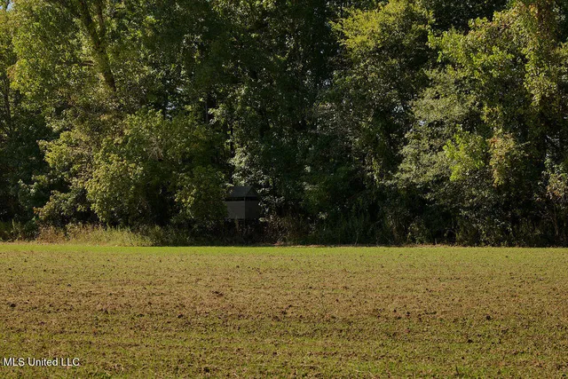 $1,120,000 | Sandy Bayou Road, Rolling Fork, MS 39159