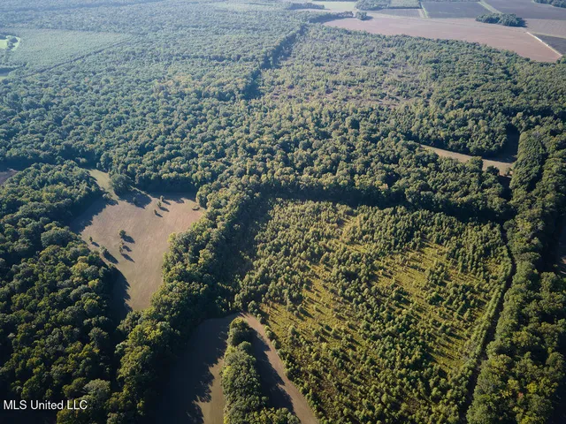 $1,120,000 | Sandy Bayou Road, Rolling Fork, MS 39159