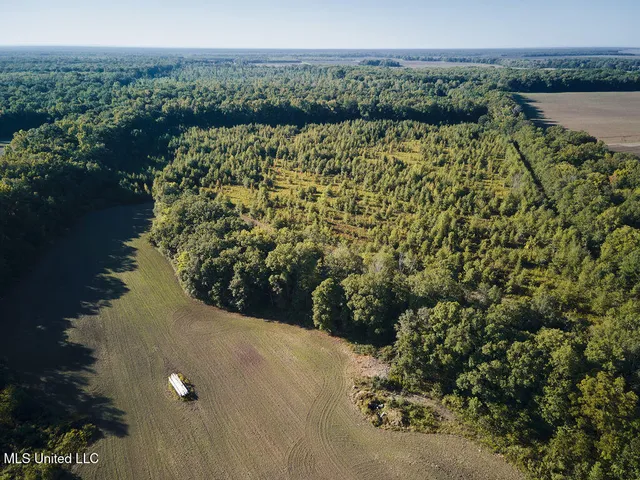 $1,120,000 | Sandy Bayou Road, Rolling Fork, MS 39159