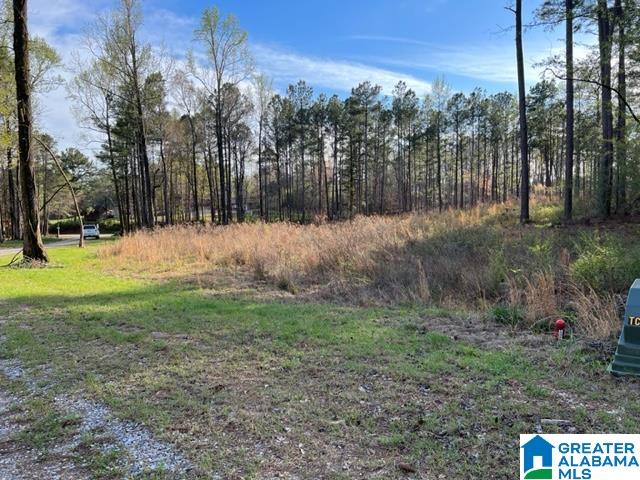 17 Rustic Oaks Drive, Unit 9 Sterrett, AL 35147 - Photo 9 of 13