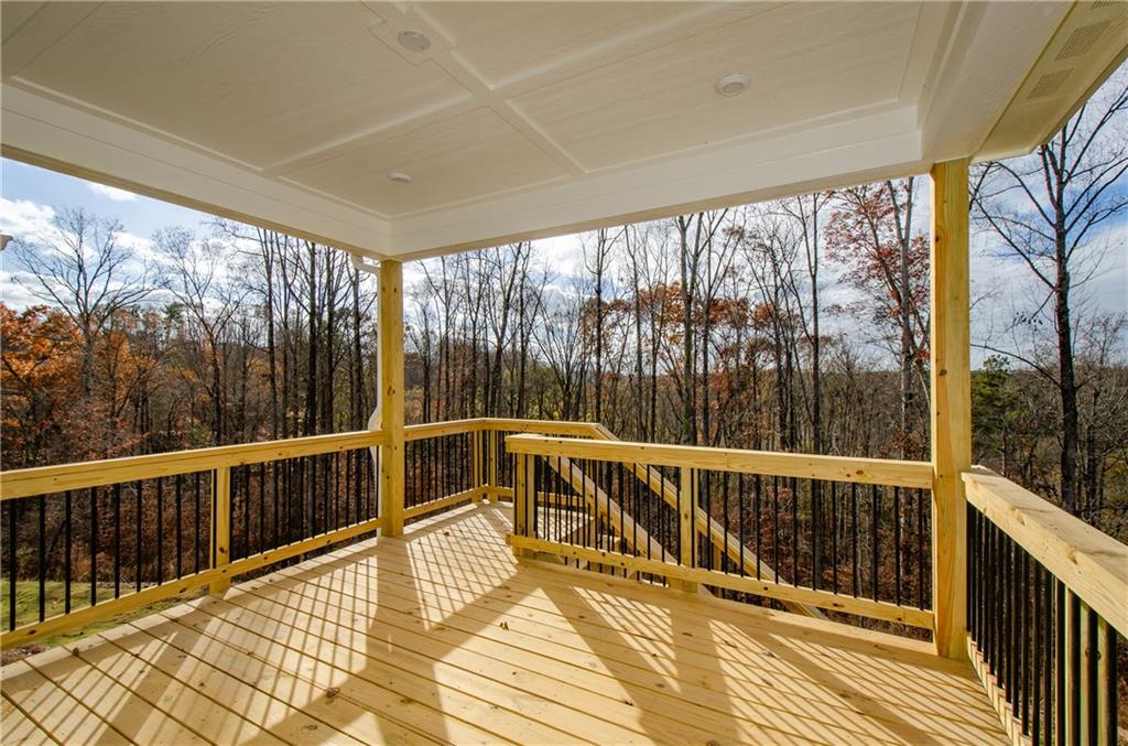 8555 Scenic Ridge Way Ball Ground, GA 30107 - Photo 46 of 60