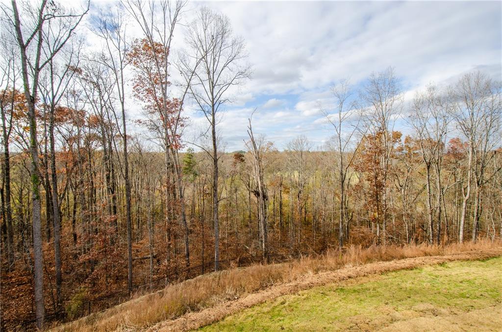 8555 Scenic Ridge Way Ball Ground, GA 30107 - Photo 49 of 60