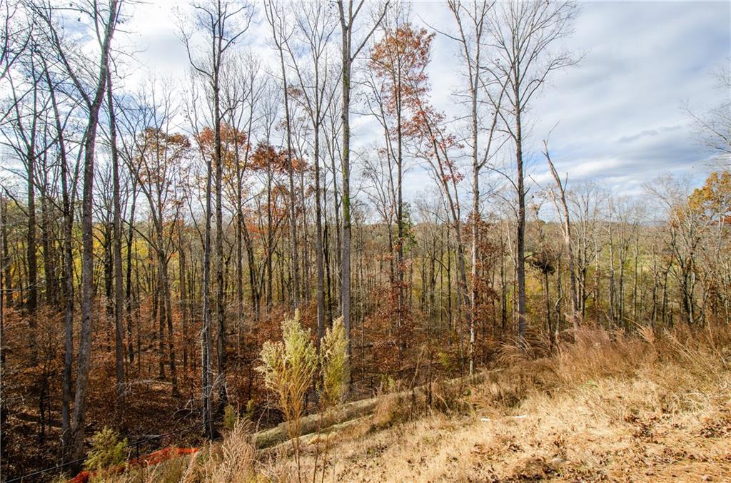 8555 Scenic Ridge Way Ball Ground, GA 30107 - Photo 58 of 60