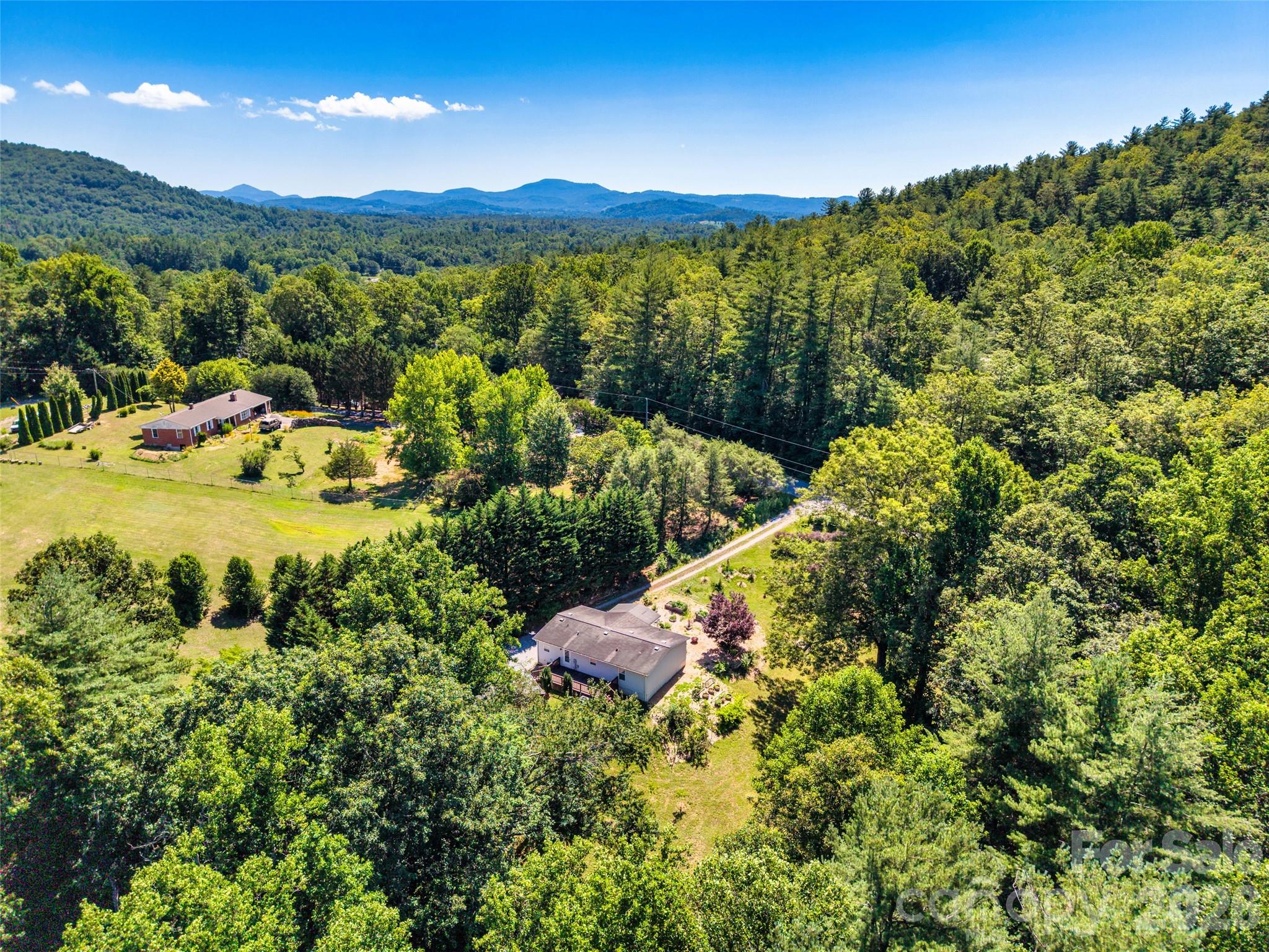 435 McMinn Road Hendersonville, NC 28792 - Photo 45 of 48