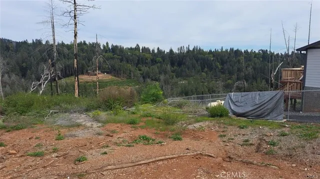 a view of a backyard