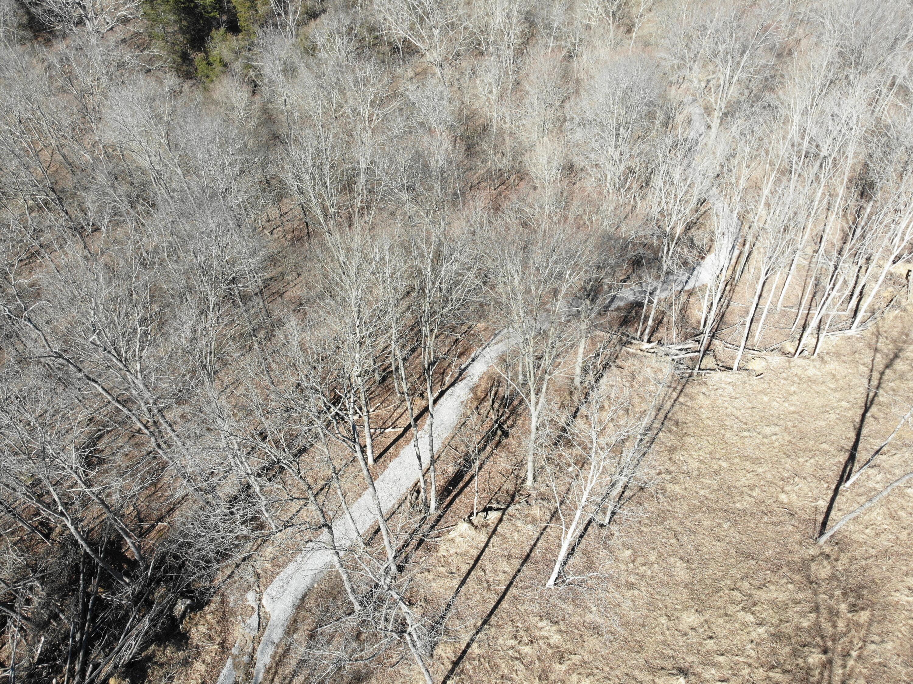 0 Persimmon Ridge Road Carlisle, KY 40311 - Photo 18 of 23 DJI_0855