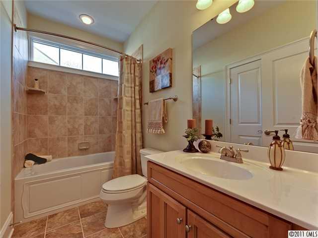 325 Spring Street, Unit 325 Davidson, NC 28036 - Photo 11 of 16 Gallery Image 11