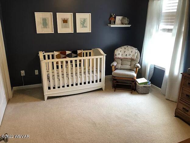 203 Green Pine Road Montgomery, PA 17752 - Photo 44 of 59 Gallery Image 44