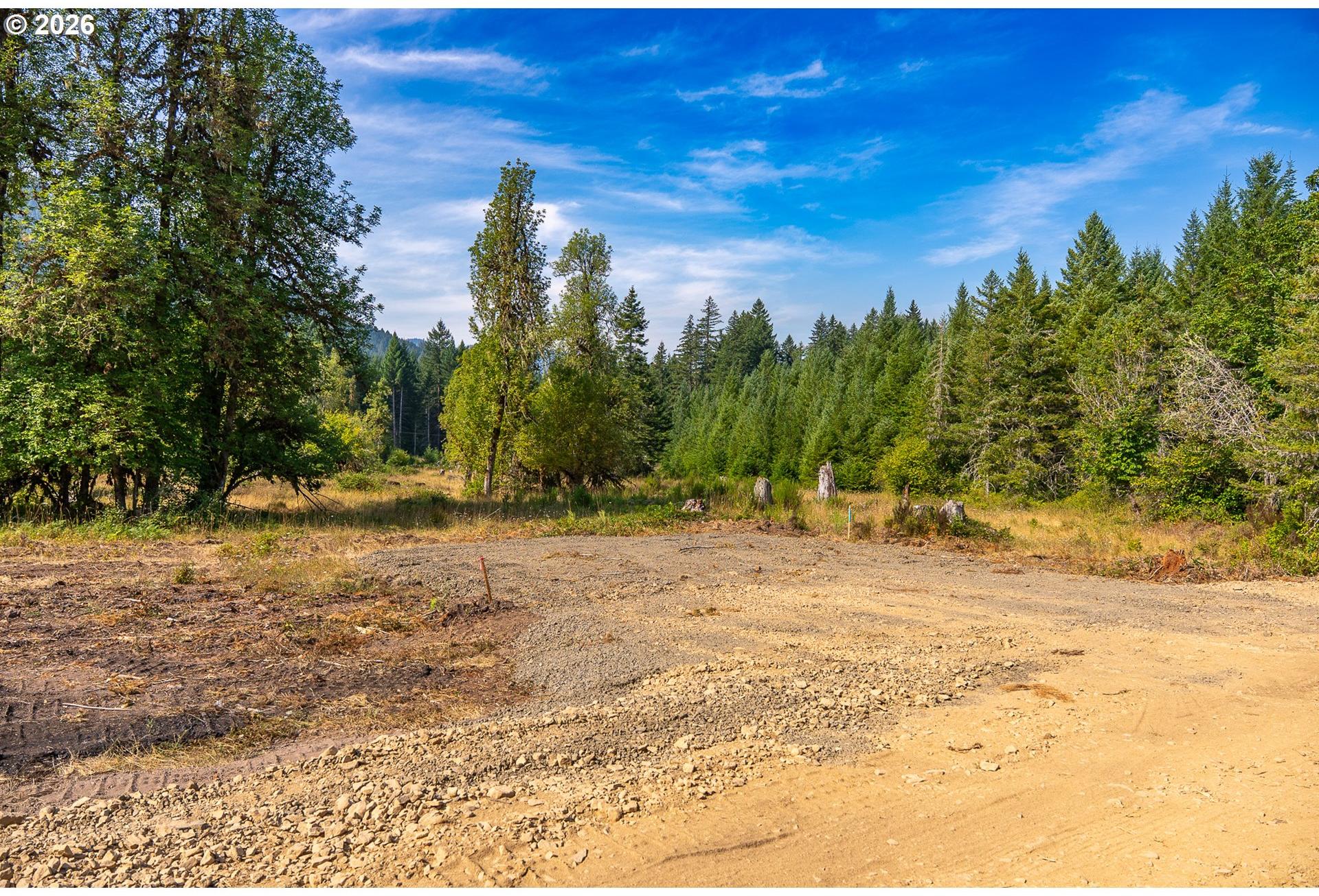 Hawk Meadows Road, Unit 6 Carson, WA 98610 - Photo 2 of 46 Gallery Image 2