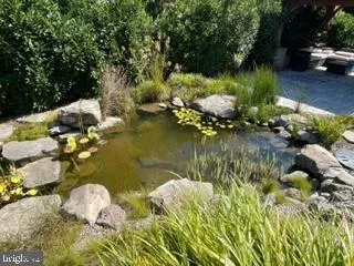 a view of a swimming pool with a yard