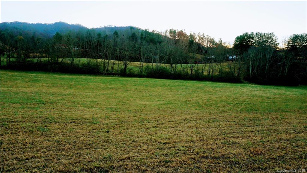 0 Downs Cove Road Waynesville, NC 28785 - Photo 2 of 6
