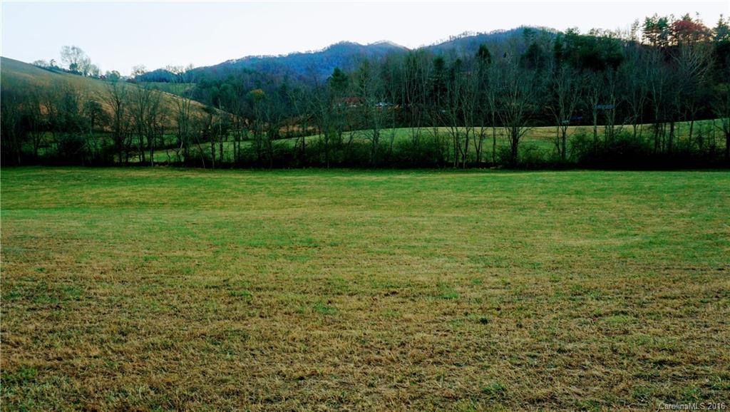 0 Downs Cove Road Waynesville, NC 28785 - Photo 3 of 6