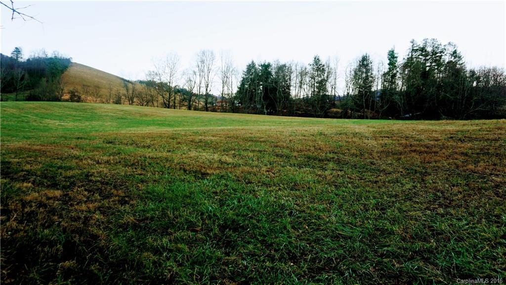 0 Downs Cove Road Waynesville, NC 28785 - Photo 4 of 6