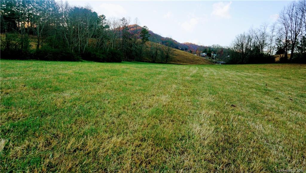 0 Downs Cove Road Waynesville, NC 28785 - Photo 6 of 6