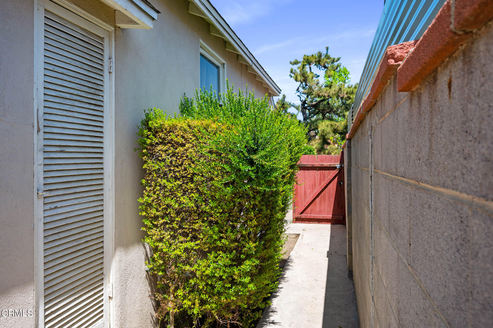 19406 Sherman Way Reseda, CA 91335 - Photo 29 of 36 a plant view