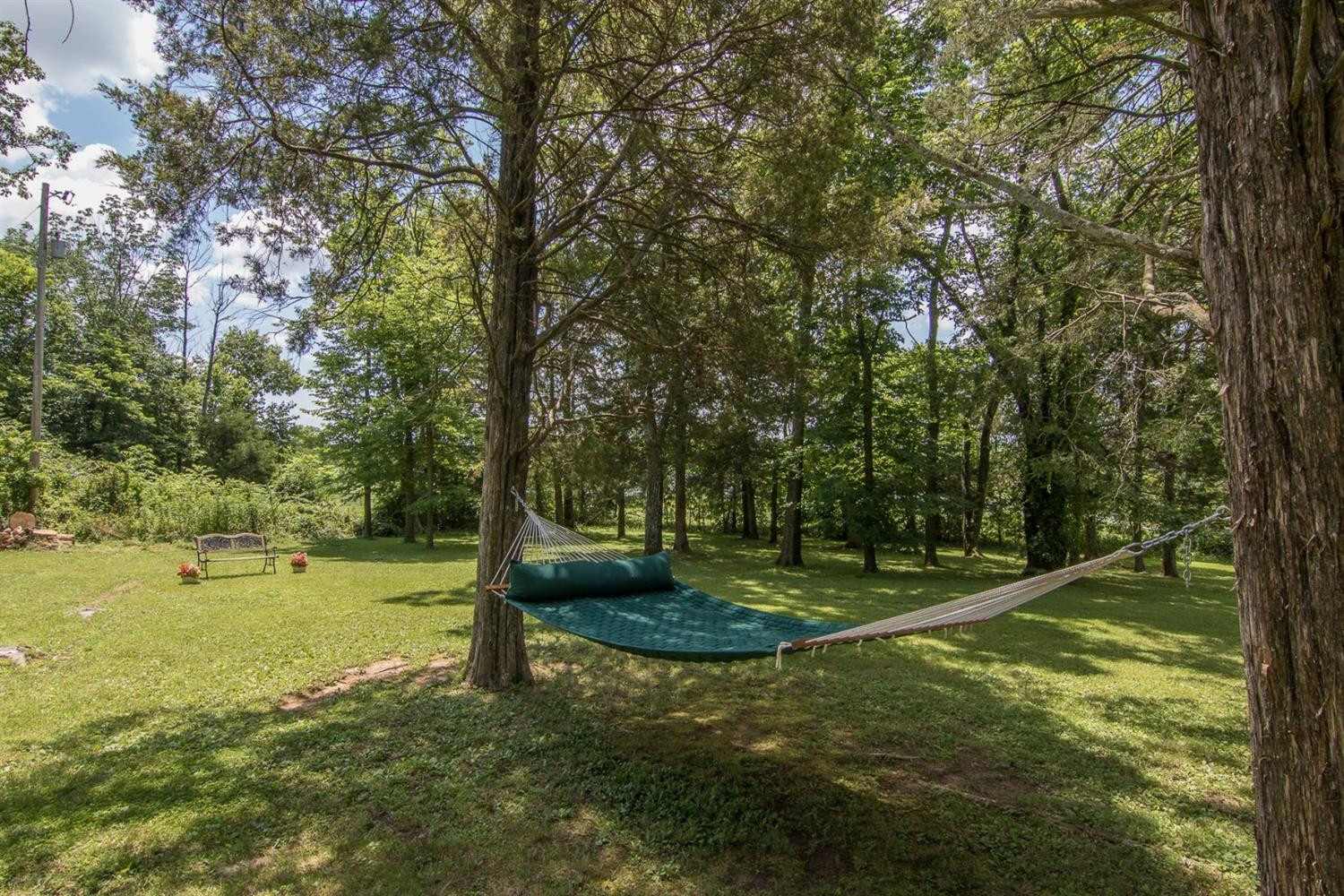 985 Bondville Road Salvisa, KY 40372 - Photo 4 of 28 Imagine yourself in a hammock relaxing