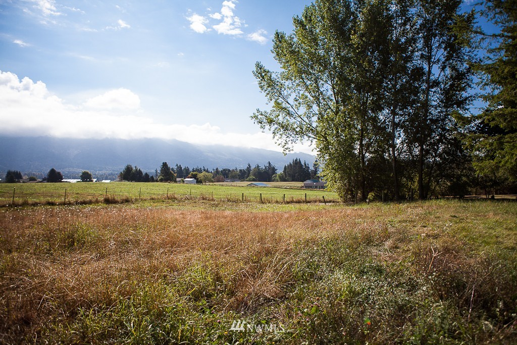3394 Breckenridge Road Everson, WA 98247 - Photo 5 of 15