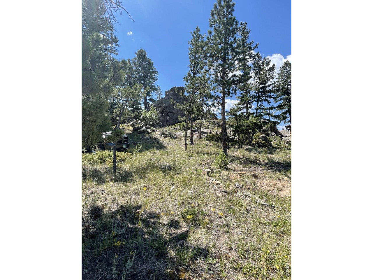35 Robin Path Red Feather Lakes, CO 80545 - Photo 21 of 25 .29 acres of usable land.
