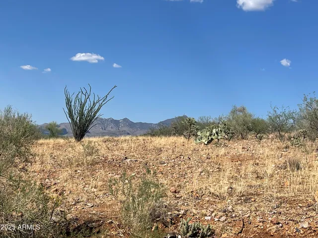 $35,000 | 52 Calle Dinamarca, Unit 21, Rio Rico, AZ 85648