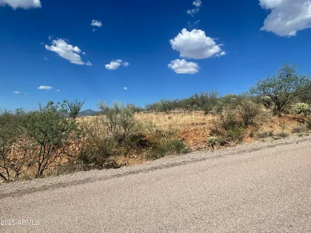 $35,000 | 52 Calle Dinamarca, Unit 21, Rio Rico, AZ 85648