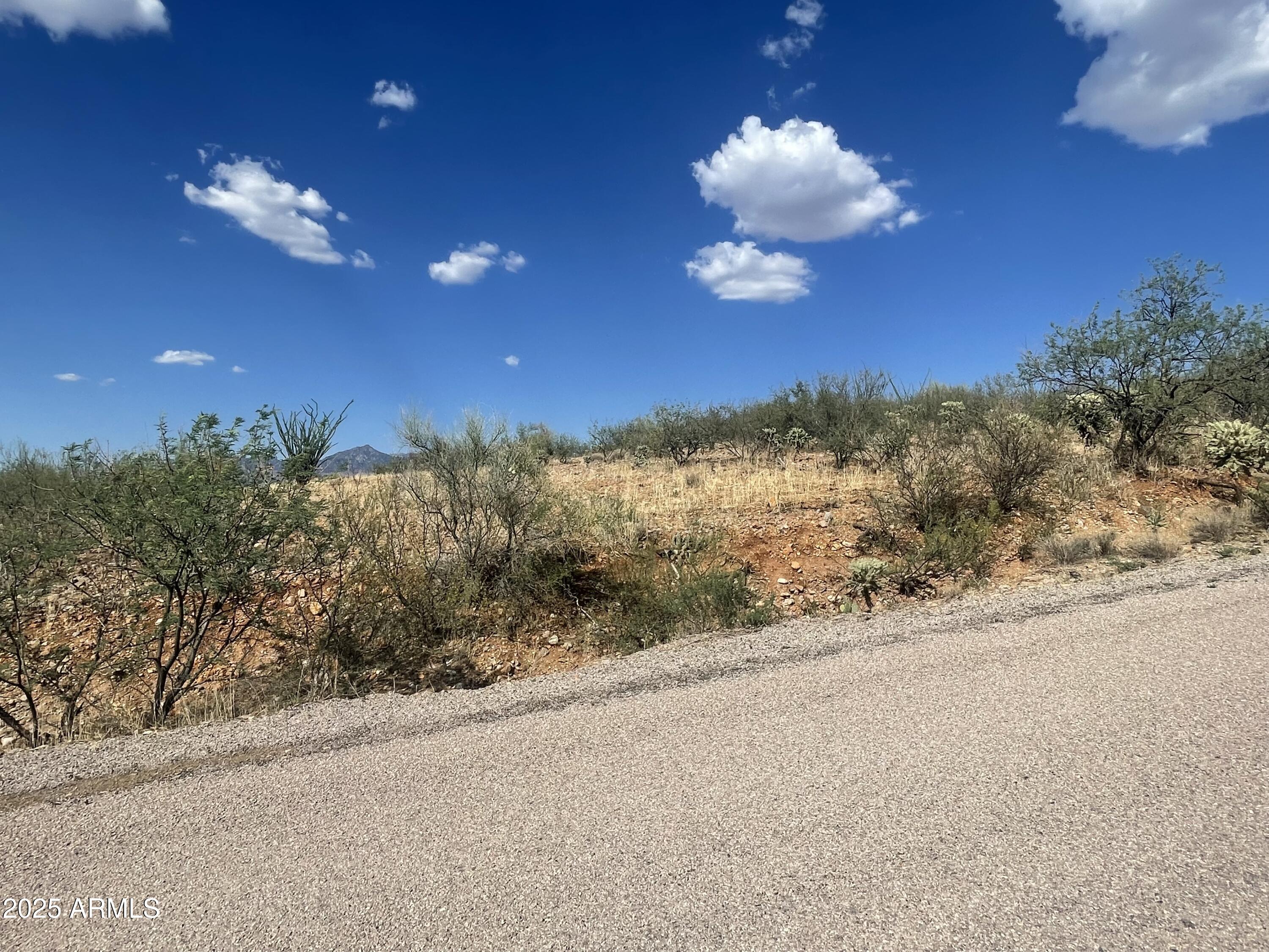 52 Calle Dinamarca, Unit 21 Rio Rico, AZ 85648 - Photo 2 of 10 Paved road