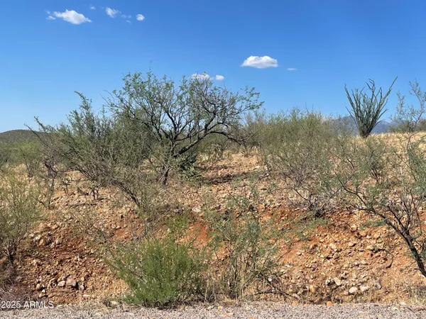 $35,000 | 52 Calle Dinamarca, Unit 21, Rio Rico, AZ 85648