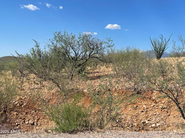 $35,000 | 52 Calle Dinamarca, Unit 21, Rio Rico, AZ 85648