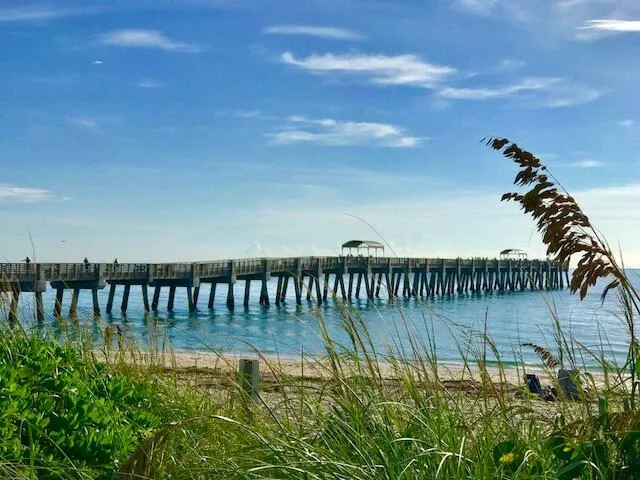 a view of city swimming pool with building and trees in the background